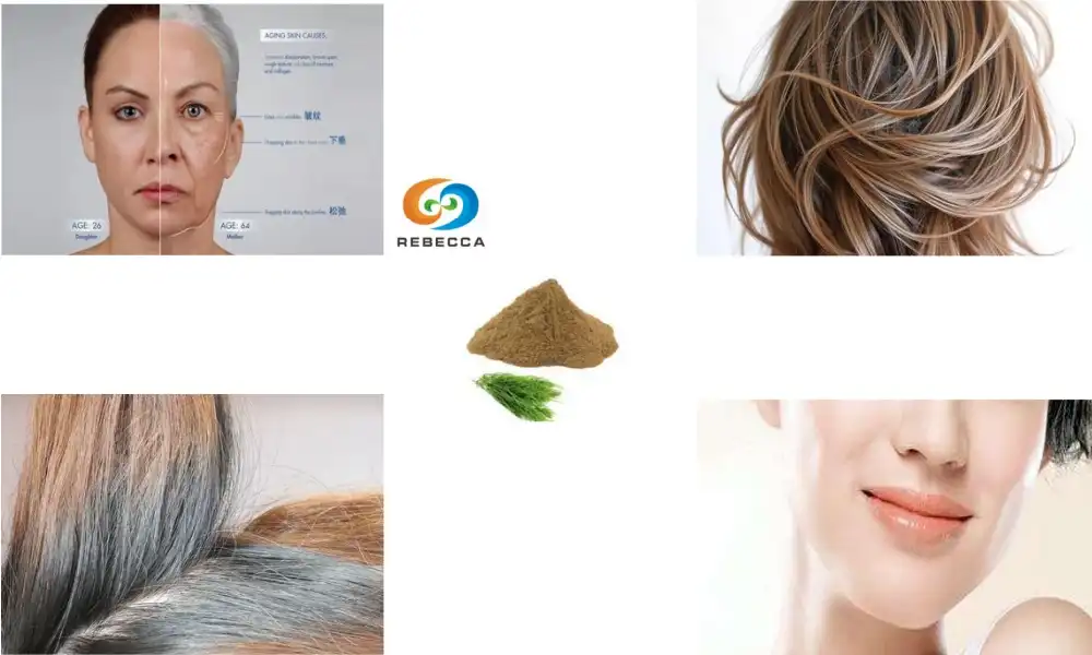 Does horsetail have collagen?